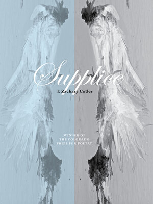 cover image of Supplice